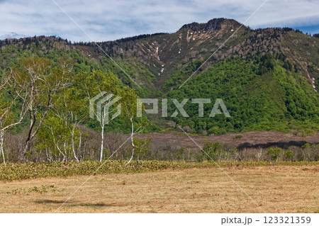 初夏の尾瀬ヶ原から見る新緑の景鶴山 初夏の尾瀬ヶ原から見る新緑の景鶴山 123321359