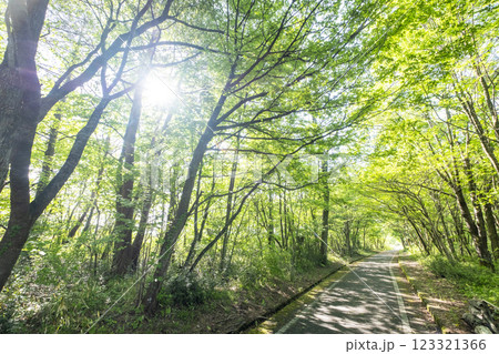 新緑・初夏のサイクリングイメージ　（蒜山高原） 123321366
