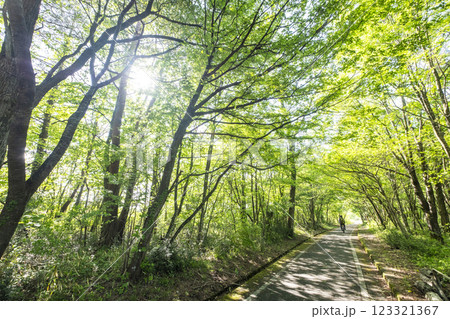 新緑・初夏のサイクリングイメージ　（蒜山高原） 123321367