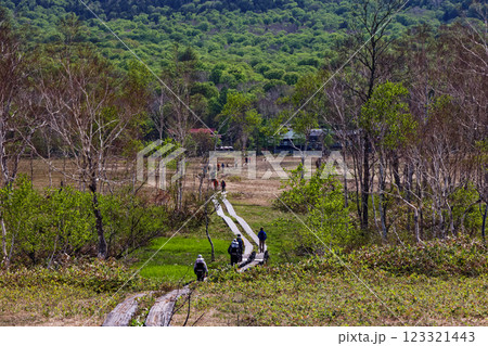 初夏の尾瀬ヶ原を行くハイカーと見晴の山小屋 123321443