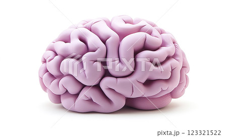 白背景にピンク色のヒトの脳のイメージの3Dイラスト 123321522