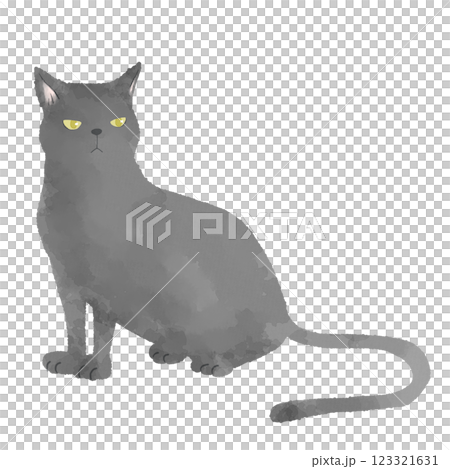 Black cat illustration Black cat illustration 123321631