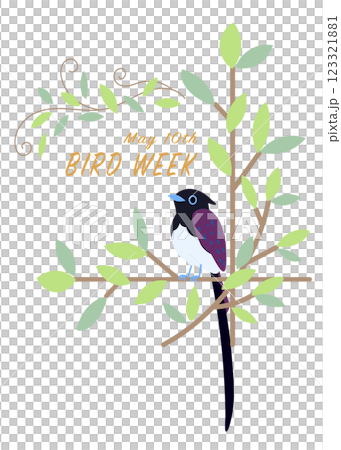 Bird Week, Paradise Flycatcher, Wreath, Wild Bird, Bird Bird Week, Paradise Flycatcher, Wreath, Wild Bird, Bird 123321881