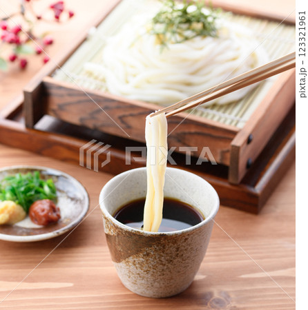 ざるうどん （ 冷やしうどん ） 123321961