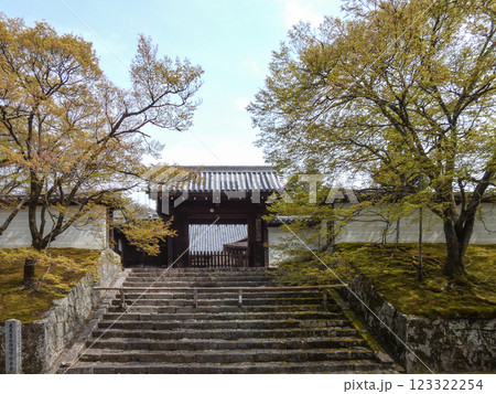 曼殊院門跡 勅使門 曼殊院門跡 勅使門 123322254