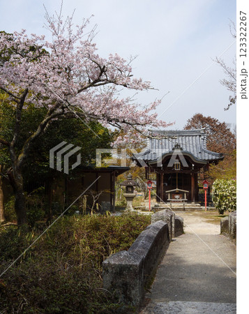曼殊院門跡 弁天堂(辨財天)さくら 曼殊院門跡 弁天堂(辨財天)さくら 123322267