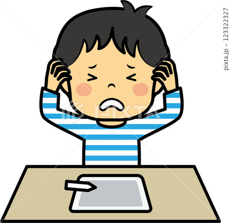 タブレット学習をする小学生男児 123322327