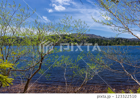 初夏の尾瀬沼の風景 初夏の尾瀬沼の風景 123322510