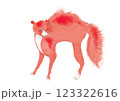 オレンジ色をした驚いた猫 123322616