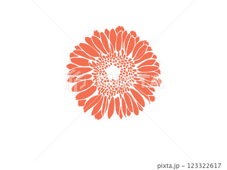 真正面からみたオレンジ色のガーベラ 真正面からみたオレンジ色のガーベラ 123322617