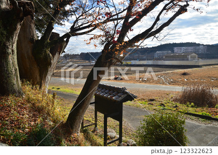 西念寺 2025-1-7 #43 西念寺 2025-1-7 #43 123322623