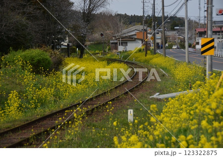 いすみ鉄道線 123322875