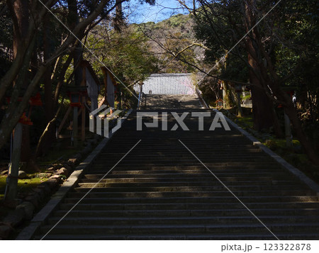 虚空蔵法輪寺　参道　石段と桜 123322878