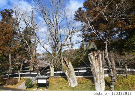 西念寺　2025-1-7　＃52 123322918