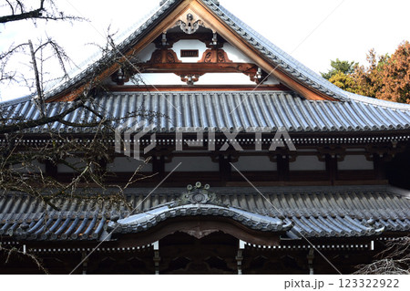 西念寺　2025-1-7　＃56 123322922