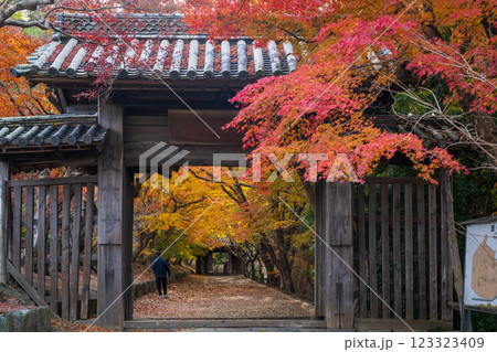 【徳島県】丈六寺の紅葉 【徳島県】丈六寺の紅葉 123323409