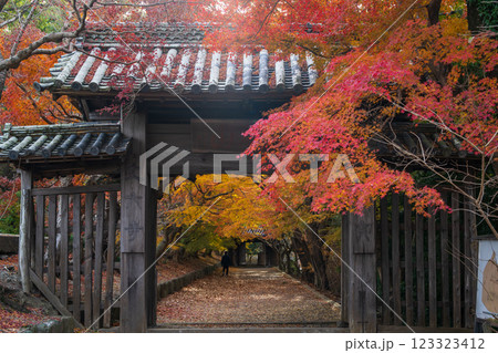 【徳島県】丈六寺の紅葉 【徳島県】丈六寺の紅葉 123323412
