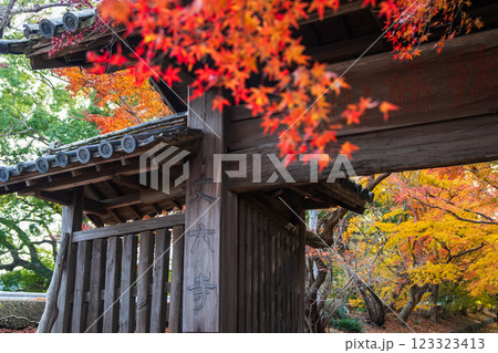 【徳島県】丈六寺の紅葉　 123323413