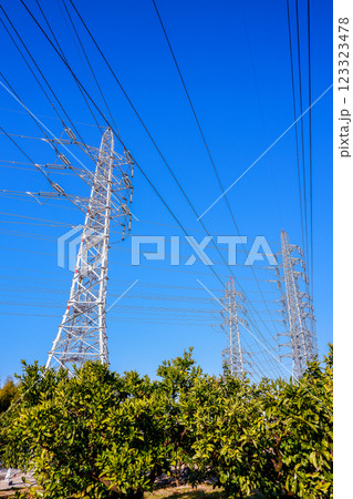 樹木越しに鉄塔がそびえ建つ送電線 123323478