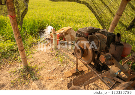 A water pump while transfer water into rice field. This can be used to transfer water from one place to be used for drinking water or irrigation. A water pump while transfer water into rice field. This can be used to transfer water from one place to be used for drinking water or irrigation. 123323789