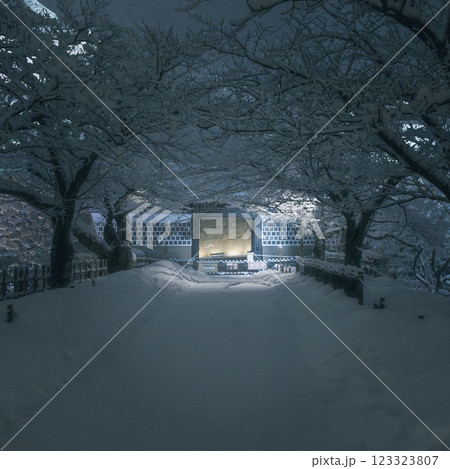 冬の金沢 雪夜の金沢城石川門 冬の金沢 雪夜の金沢城石川門 123323807