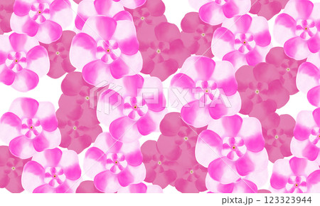 pink flower pattern background pink flower pattern background 123323944