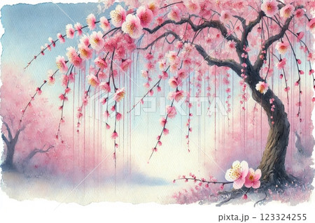 満開の枝垂れ桜 123324255