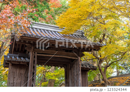 【徳島県】丈六寺の紅葉　 123324344
