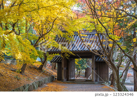 【徳島県】丈六寺の紅葉　 123324346