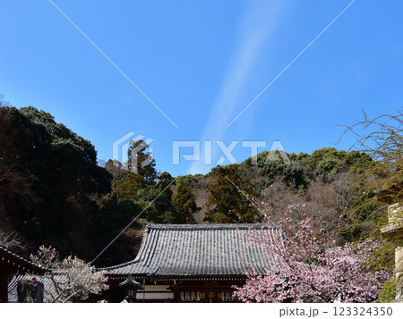 虚空蔵法輪寺　本堂　 123324350
