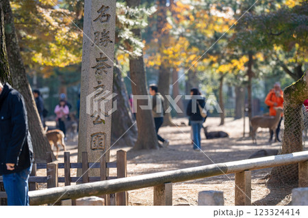 秋の奈良公園 123324414