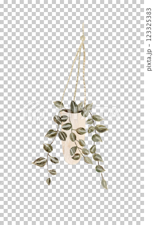 Houseplant in flowerpot. Flat hand drawn foliage string of pearls in beige pot. Cute greenery for urban jungle. 123325383