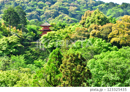 新緑が眩しい京都 清水寺 123325435