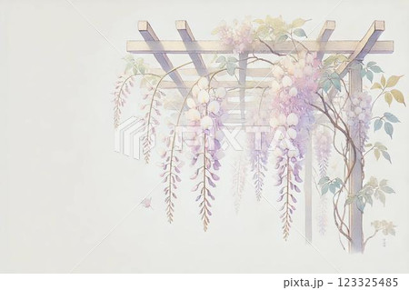 藤棚・藤の花 123325485