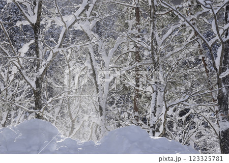 厳冬の雪景色 厳冬の雪景色 123325781