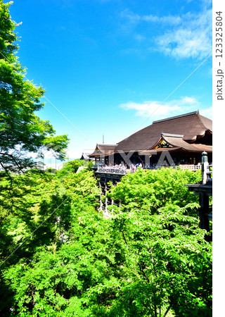 新緑が眩しい京都 清水寺 123325804