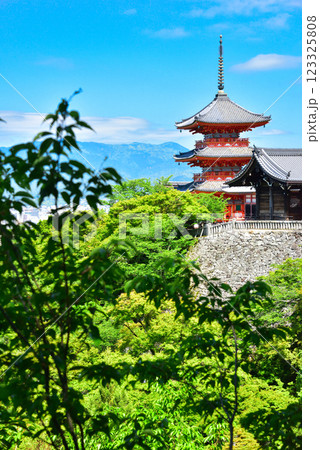新緑が眩しい京都 清水寺 新緑が眩しい京都 清水寺 123325808