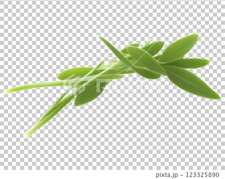 Peppergrass (Lepidium) Tender, peppery peppergrass leaves with a mild spiciness, added to sandwiches, soups, and salads. 123325890