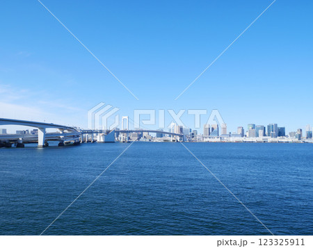 海辺から見るレインボーブリッジ 123325911