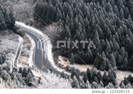 雪が積もった森と道路 123326115