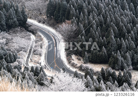 雪が積もった森と道路 123326116