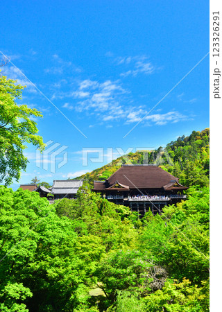 新緑が眩しい京都 清水寺 123326291