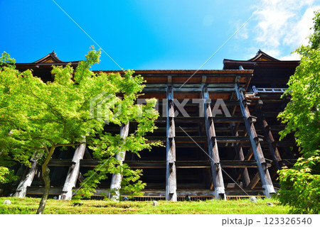 新緑が眩しい京都 清水寺 新緑が眩しい京都 清水寺 123326540