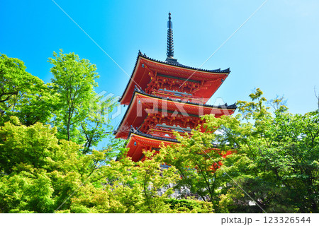 新緑が眩しい京都 清水寺 123326544