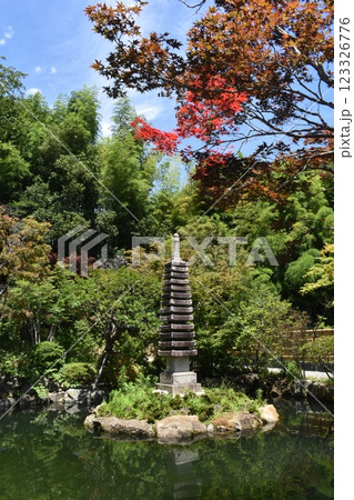 貫井神社、境内、東京都小金井市貫井 123326776