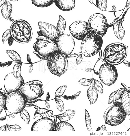 Seamless pattern of walnut branches. Vector background with kernels, leaves and nut skin. Engraving style illustration. Design for packaging, wallpaper, kitchen textile. Hand drawn ink sketch. 123327441