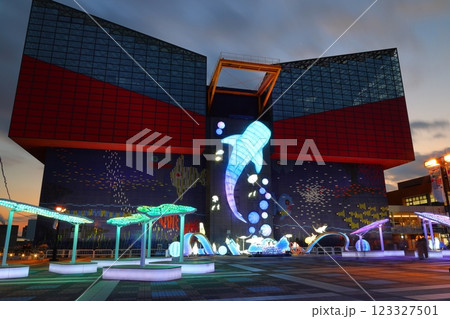 海遊館 ／ 広場 〈イルミネーション〉 （大阪市港区海岸通） 123327501