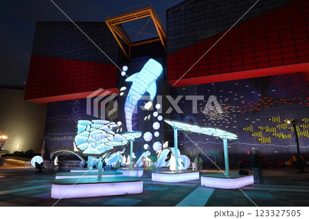 海遊館 / 広場 〈イルミネーション〉 (大阪市港区海岸通) 海遊館 / 広場 〈イルミネーション〉 (大阪市港区海岸通) 123327505