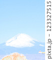 館山市から臨む冠雪した富士山　イラスト風 123327515