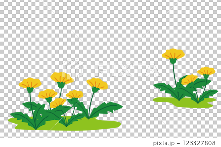 Dandelion background illustration material 123327808